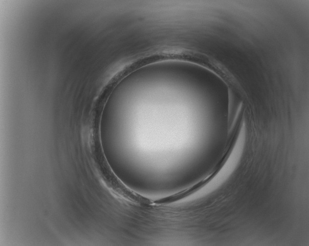 X0000080790728200612221528