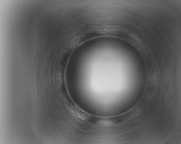 X0000080790749200612221528