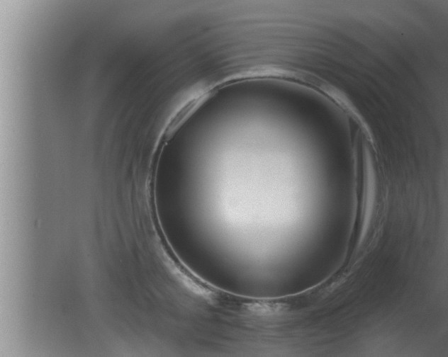 X0000080790805200612221527
