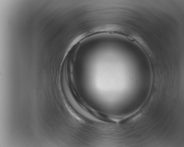 X0000080790850200612221527