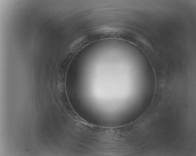 X0000080790869200612221526