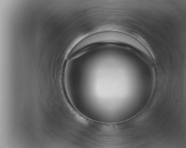 X0000080790901200612221526