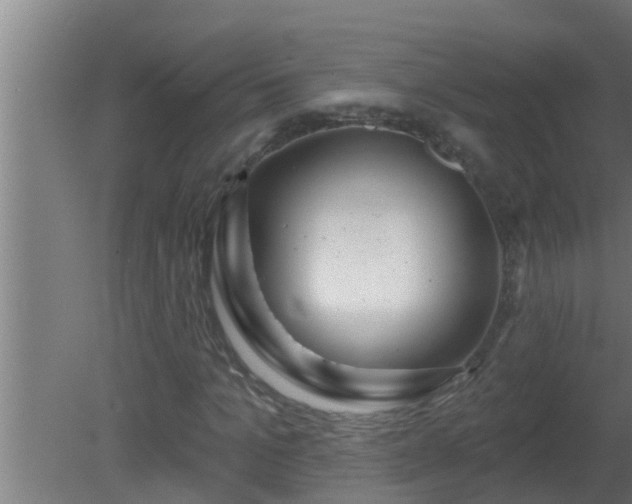 X0000080790965200612221525