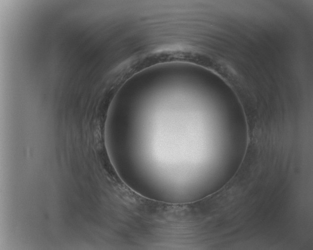 X0000080791062200612221523