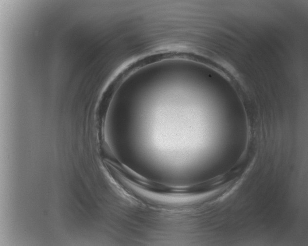 X0000080791118200612221522