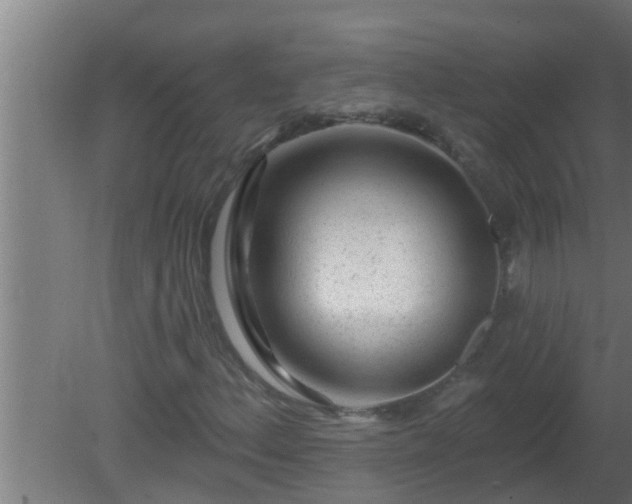 X0000080791156200612221521