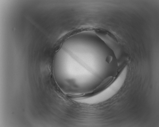 X0000080791206200612221520