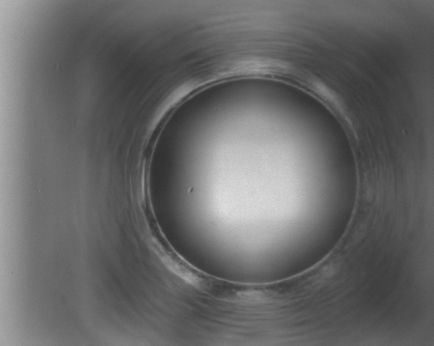 X0000080791227200612221520