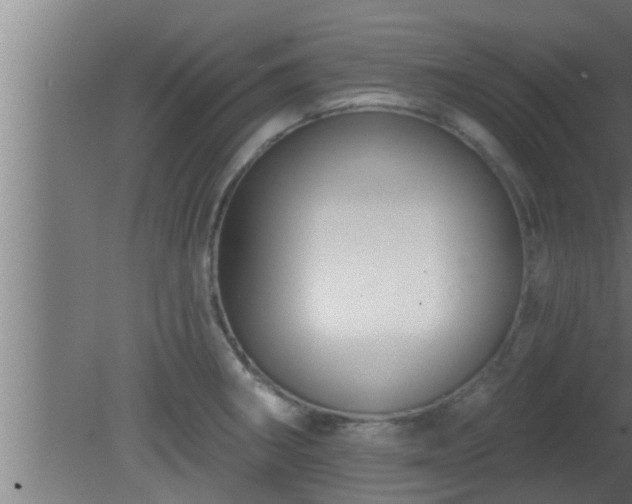 X0000080791282200612221519