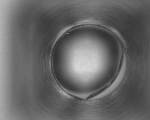 X0000080791288200612221519