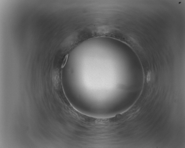 X0000080791299200612221518