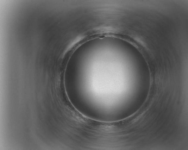 X0000080791309200612221518