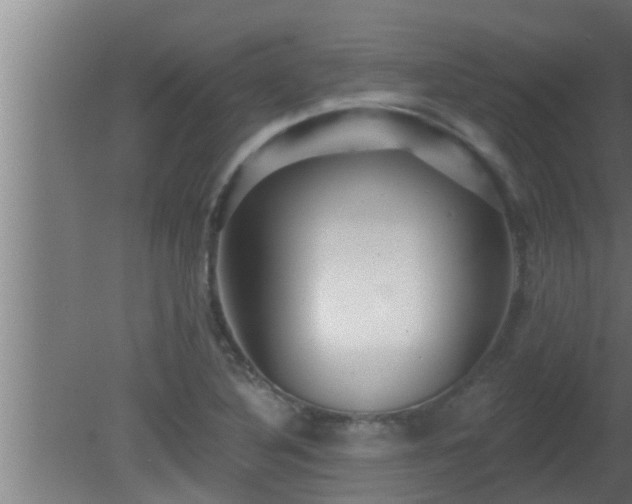 X0000080791316200612221518