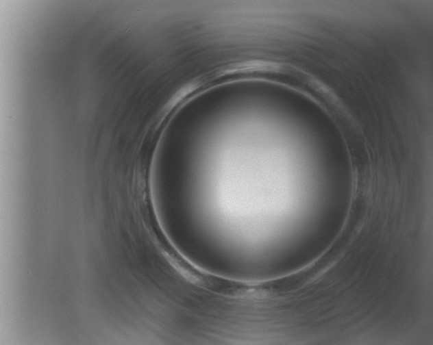 X0000080791321200612221519