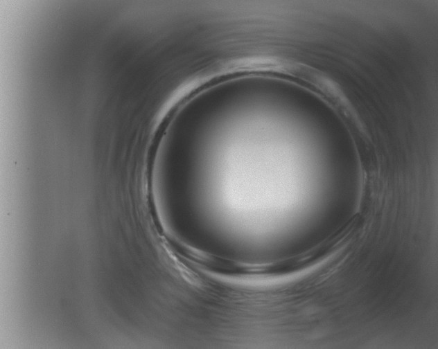 X0000080791328200612221519