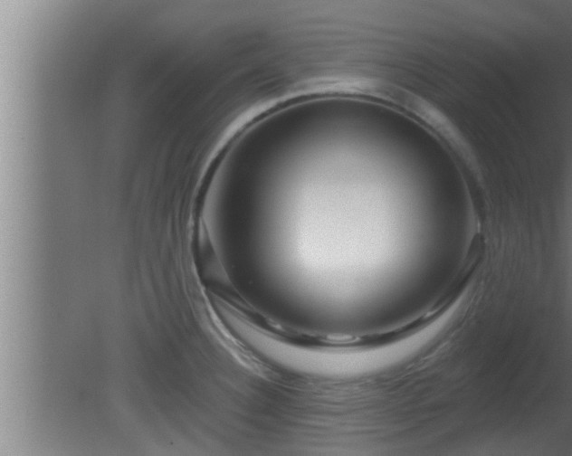 X0000080791332200612221519