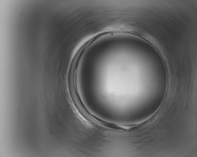 X0000080791344200612221519