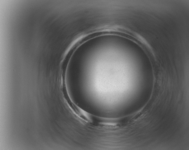X0000080791368200612221518