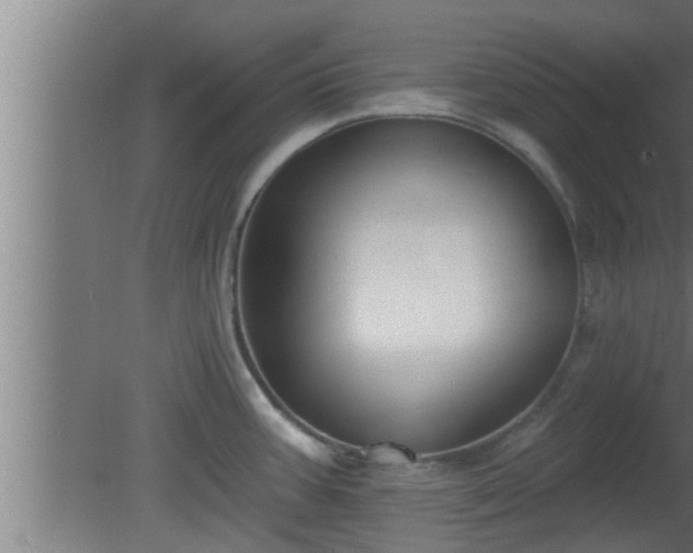 X0000080791387200612221517