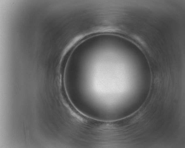 X0000080791414200612221517