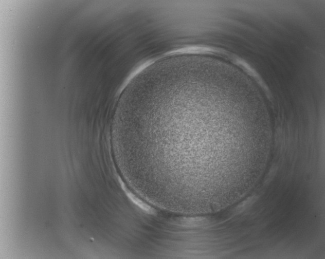 X0000080791425200612221517