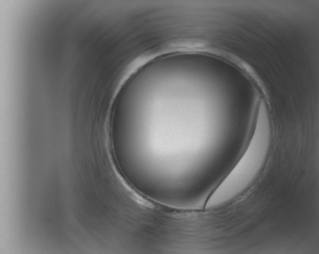 X0000080791432200612221517