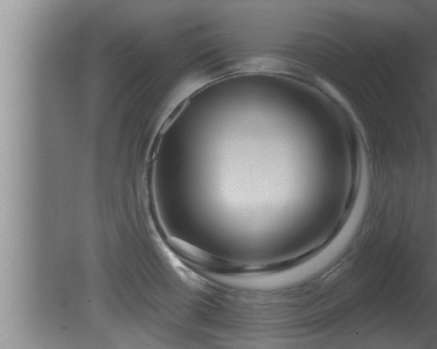 X0000080791434200612221517