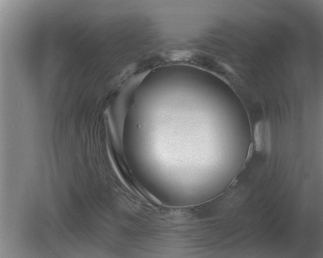 X0000080791443200612221516