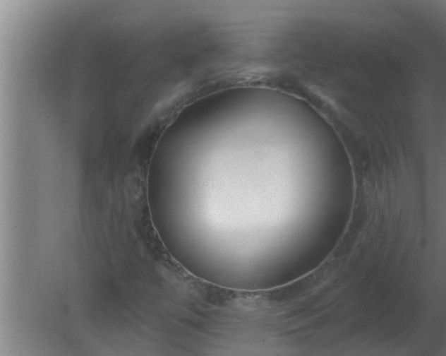 X0000080791447200612221516
