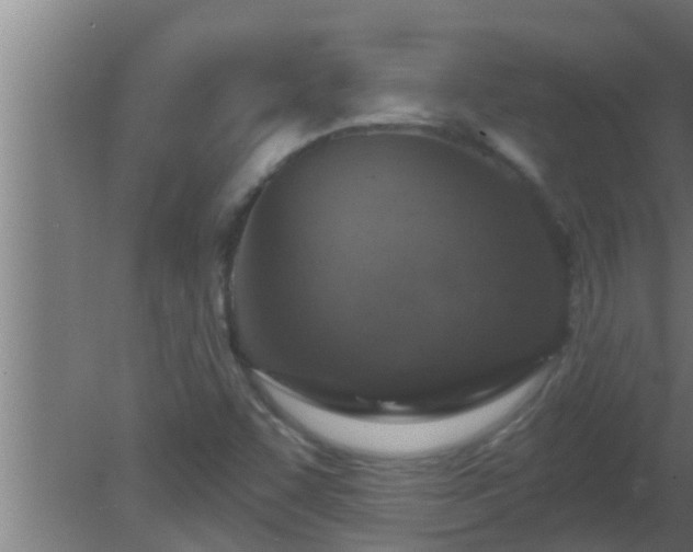 X0000080791455200612221516