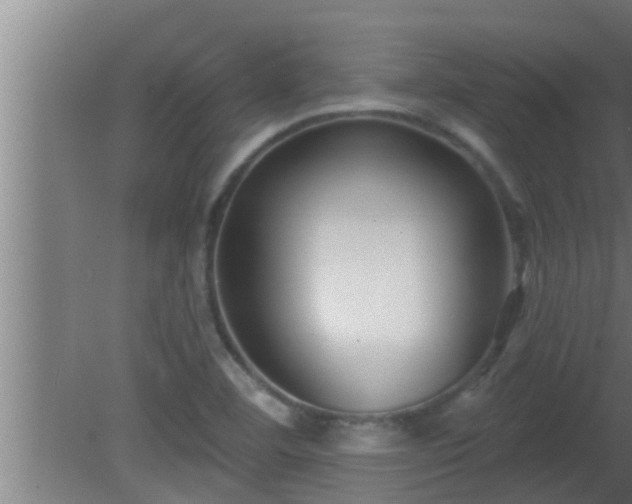 X0000080791460200612221516