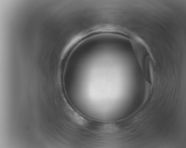 X0000080791464200612221516