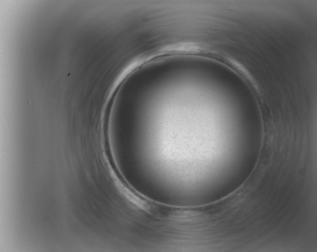 X0000080791475200612221516