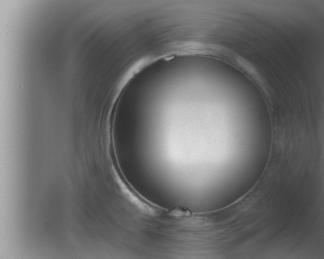 X0000080791479200612221516