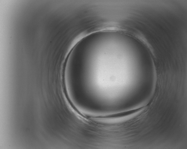 X0000080791483200612221516