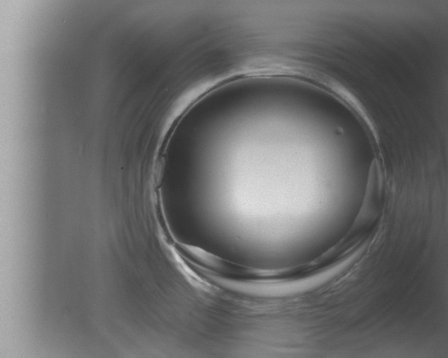 X0000080791485200612221516