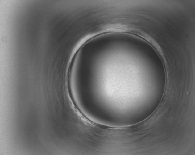 X0000080791488200612221516