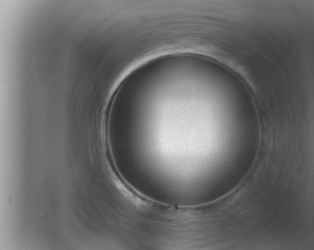 X0000080791516200612221515