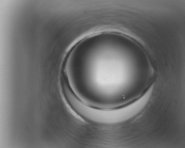 X0000080791518200612221515