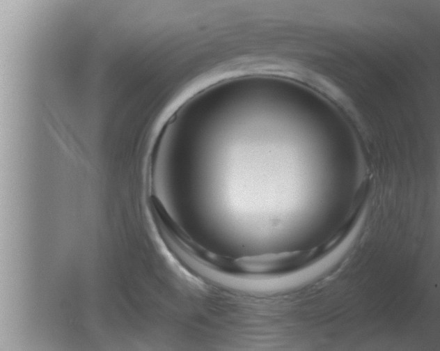 X0000080791520200612221515