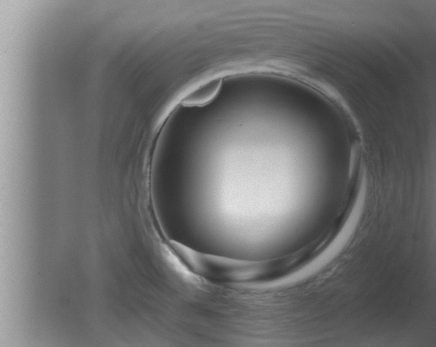 X0000080791524200612221515