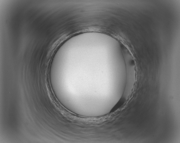 X0000080790001200701021236