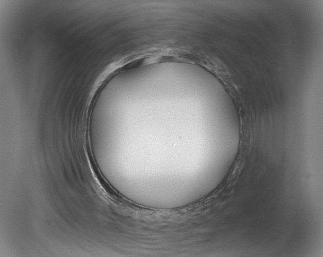 X0000080790003200701021236