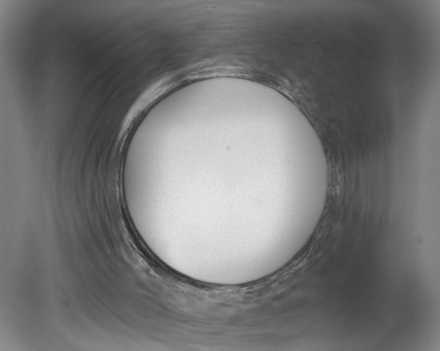 X0000080790004200701021236