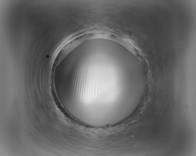 X0000080790007200701021236