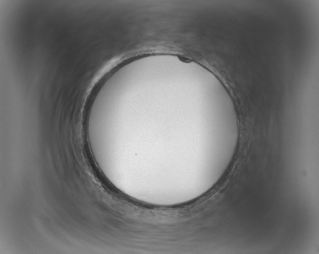 X0000080790008200701021236