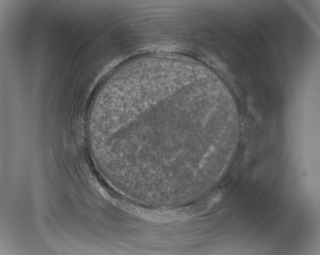 X0000080790012200701021236