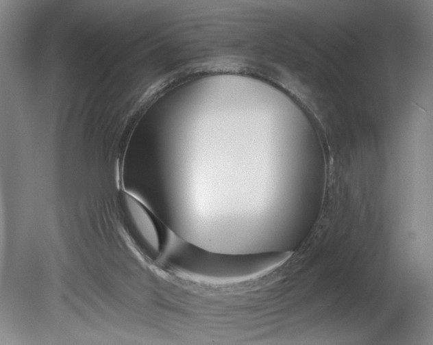 X0000080790013200701021236