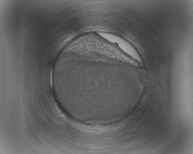 X0000080790014200701021236