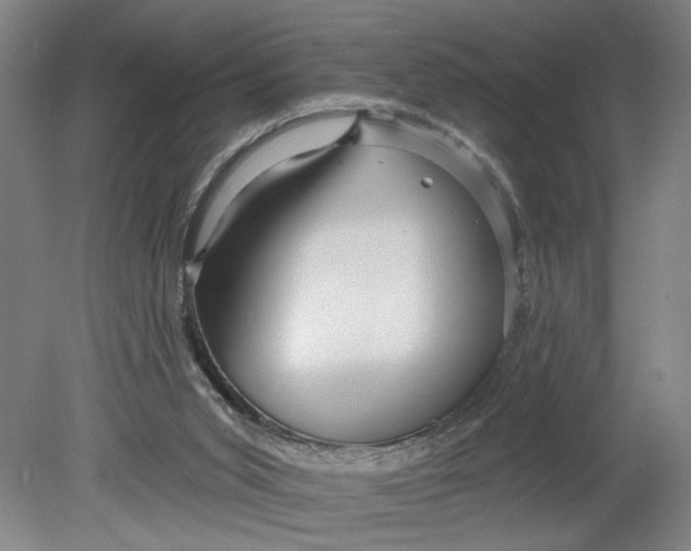 X0000080790015200701021236